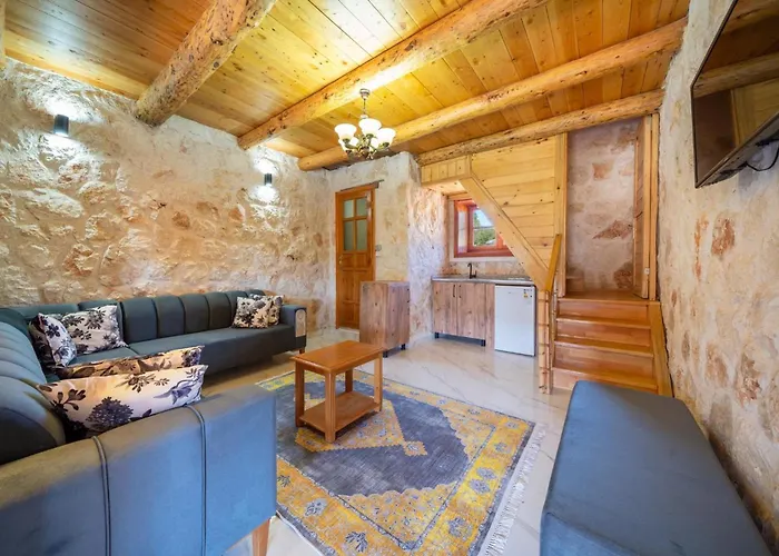 Villa The Antiphellos