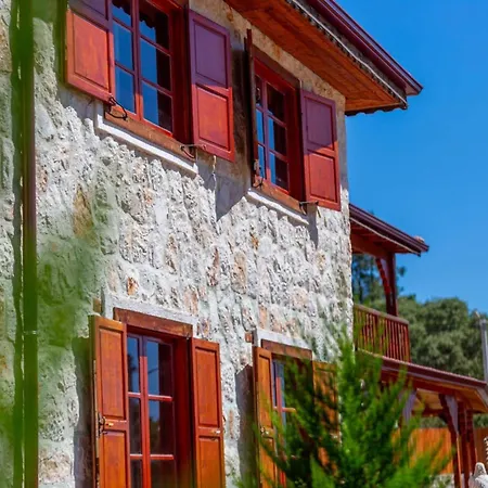 The Antiphellos * Cerler