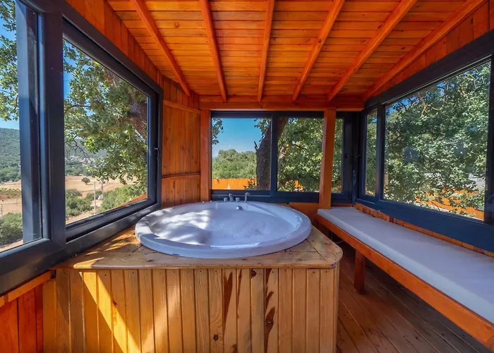 فيلة The Antiphellos Cerler