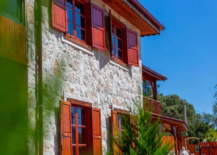 The Antiphellos * Cerler